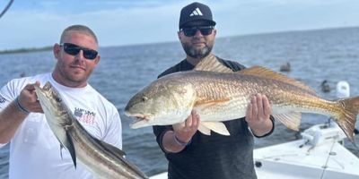 Panama Beach Fishing Charters | 6 Hour Both Inshore And Offshore Fishing Trips